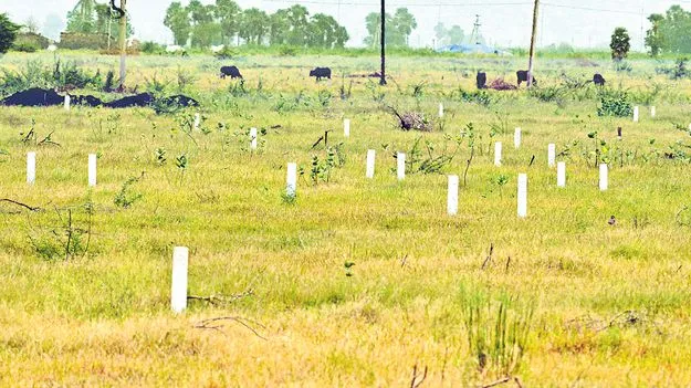 రెండెకరాలు.. ఆరు పిటిషన్లు అదే నేత భూమేత!