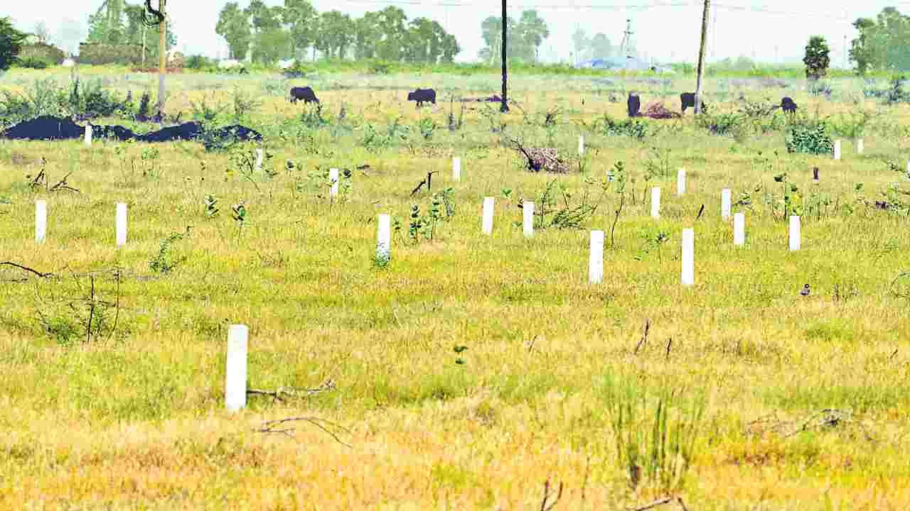 రెండెకరాలు.. ఆరు పిటిషన్లు అదే నేత భూమేత!