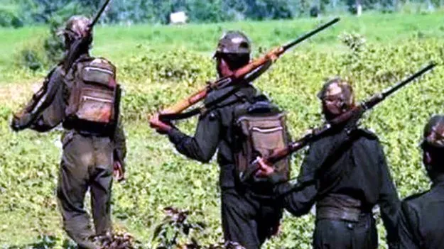 నలుగురు మావోయిస్టులకు బెయిల్‌