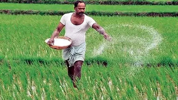 కృష్ణా, కాకినాడ జిల్లాల్లో యాప్‌తో ఎరువులు