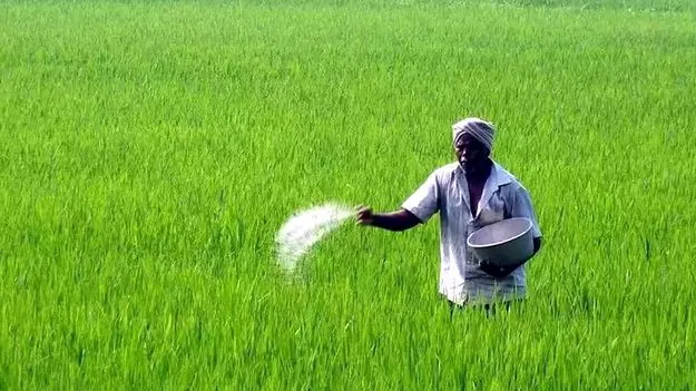పంట కోసం.. ప్రాణం బలి