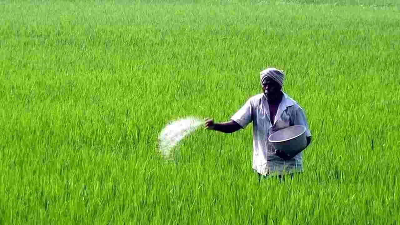 పంట కోసం.. ప్రాణం బలి