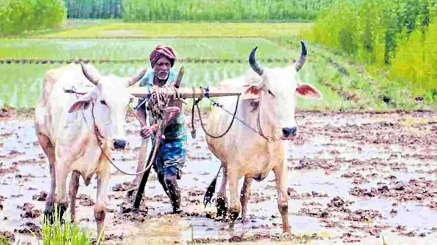 నేడు అన్నదాత నిధుల విడుదల
