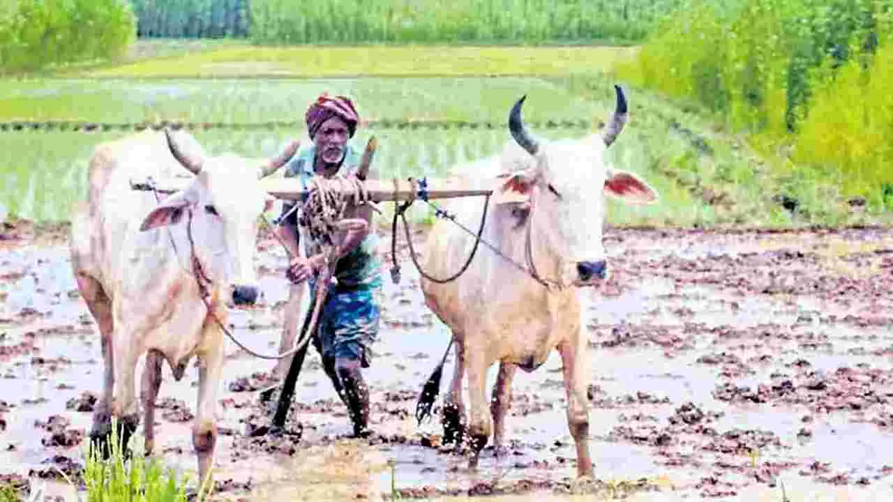 నేడు అన్నదాత నిధుల విడుదల