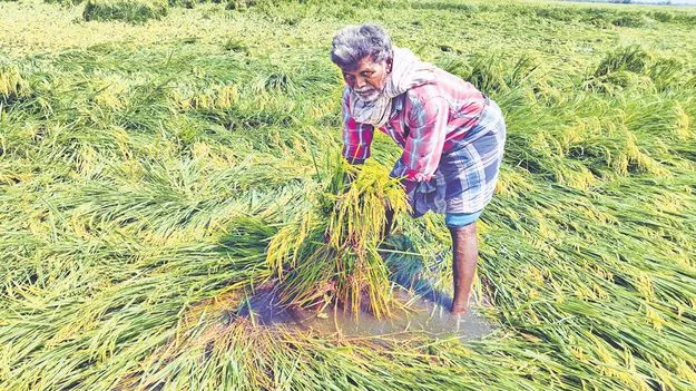 ఆగని వాన.. తీరని కష్టం