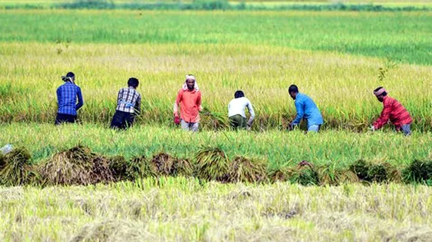 పంటల బీమాకు అధికారులను కలవండి