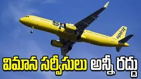 విమాన సర్వీసులను నిలిపివేసిన స్పిరిట్ ఎయిర్‌లైన్స్