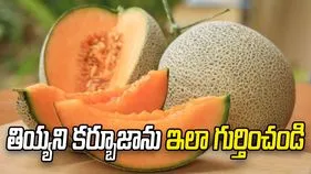 మార్కెట్‌లో తియ్యని కర్బూజాను ఇలా గుర్తించండి
