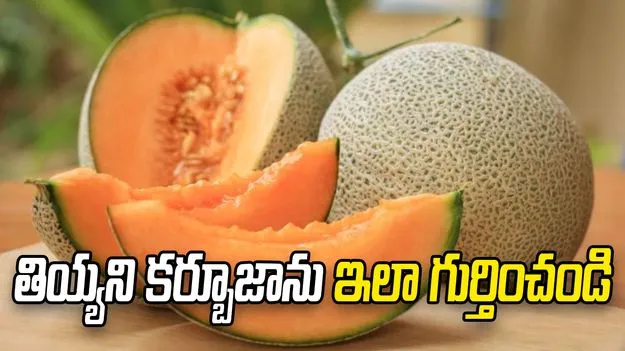 మార్కెట్‌లో తియ్యని కర్బూజాను ఇలా గుర్తించండి