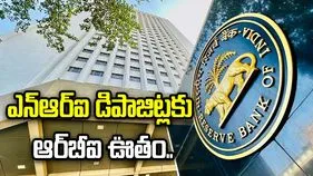 ఎన్‌ఆర్‌ఐలకు గుడ్‌న్యూస్.. ఆ డిపాజిట్లపై వడ్డీ పరిమితుల ఎత్తివేత