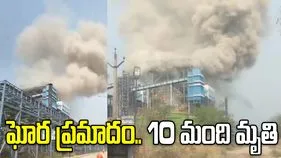 ఛత్తీస్‌గఢ్‌లో భారీ పేలుడు..10 మంది మృతి