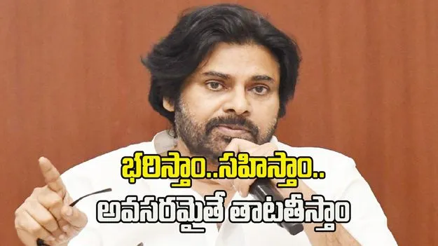 భరిస్తాం.. సహిస్తాం.. అవసరమైతే తాట తీస్తాం.. పవన్ కల్యాణ్ వార్నింగ్