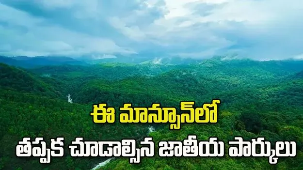 వర్షాకాలంలో స్వర్గంలా మారే జాతీయ పార్కులు.. జీవితంలో ఒక్కసారైనా సందర్శించాల్సిందే!