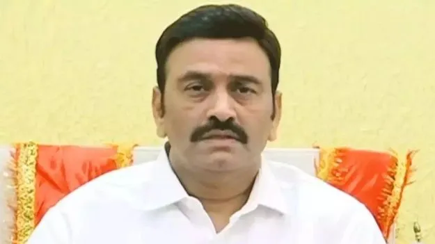 వినాయక నిమజ్జనాల్లో డీజే సౌండ్స్‌కు నో పర్మిషన్:  రఘురామ