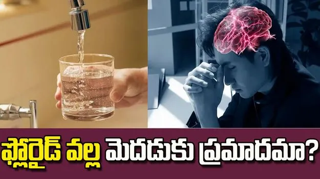 ఫ్లోరైడ్.. నిజంగా మెదడును ప్రభావితం చేస్తుందా?
