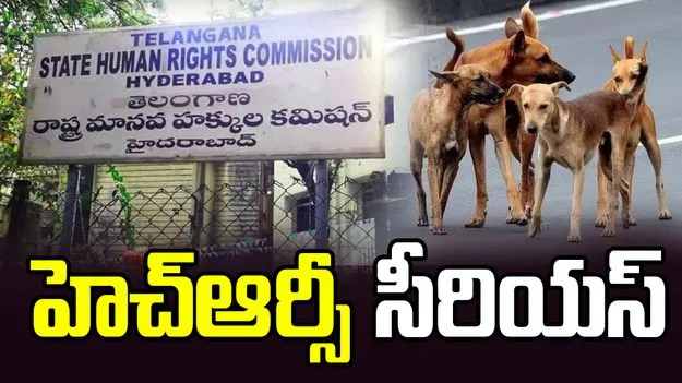 వీధి కుక్కల దాడులపై హెచ్‌ఆర్సీ సీరియస్