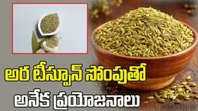 అర టీస్పూన్ సోంపుతో అనేక ఆరోగ్య సమస్యలకు చెక్