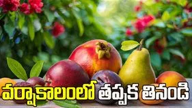 వర్షాకాలంలో తప్పనిసరిగా తినాల్సిన పండ్లు ఇవే.!