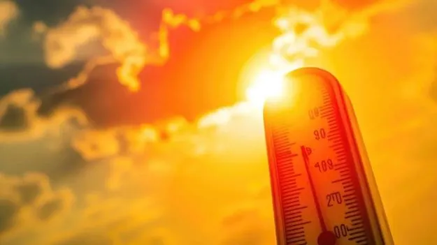 సంజామలలో 44.6 డిగ్రీలు