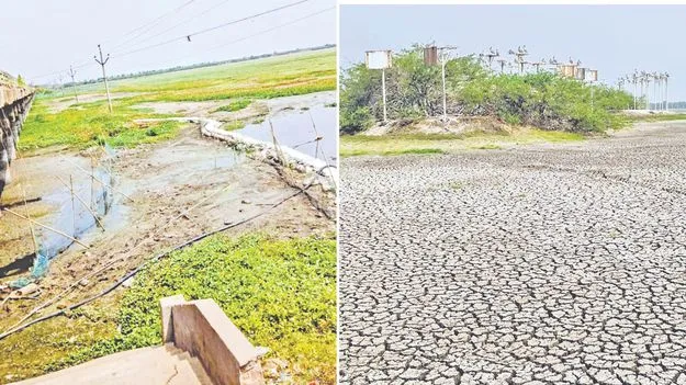 పక్షుల కొంప.. ‘కొల్లేరు’!