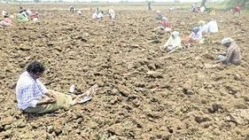 పరిటాలలో వజ్రాల వేట!