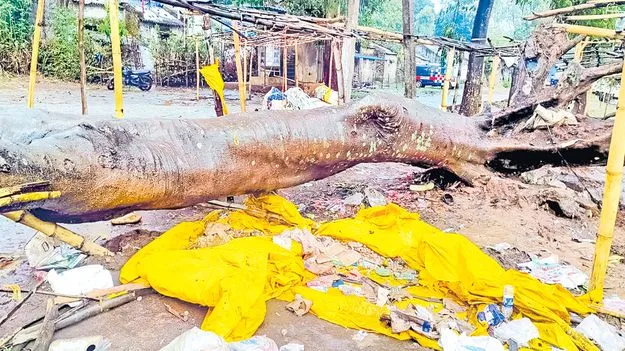 ఈదురుగాలుల బీభత్సం