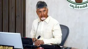 పంట నష్టాలు తగ్గించండి: సీఎం
