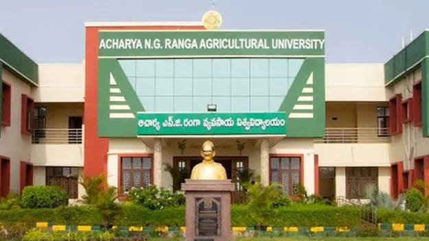ఎల్‌నినోను ఎదుర్కొందాం!