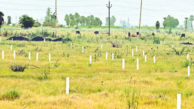 పట్టణాల్లో ఖాళీ స్థలాలకు పన్ను రాయితీ