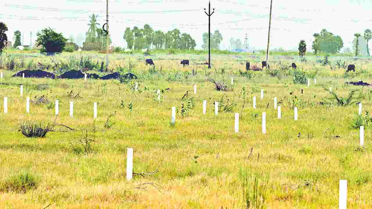 పట్టణాల్లో ఖాళీ స్థలాలకు పన్ను రాయితీ
