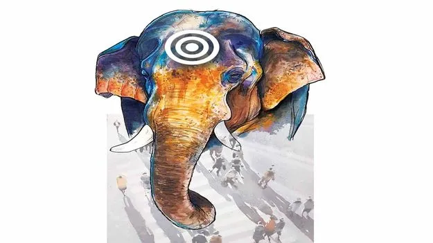 కుంకి ఏనుగు ఆదర్శం