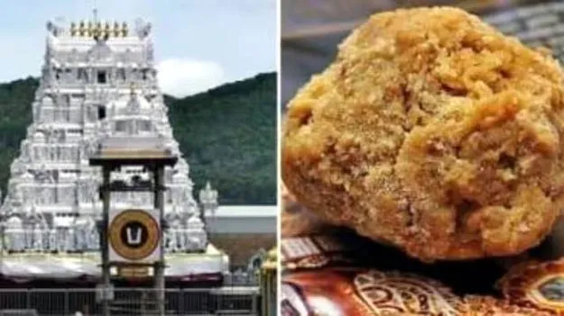 తిరుమల కల్తీ నెయ్యి వ్యవహారంలో... ఏడుగురిపై క్రమశిక్షణ చర్యలు