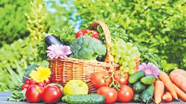 హార్టీకల్చర్‌ హబ్‌గా రాయలసీమ