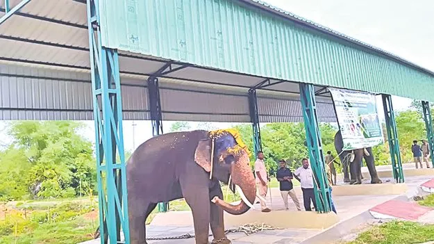 గుచ్చిమి ఎలిఫెంట్‌ జోన్‌కు చేరిన కుంకీలు
