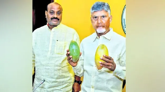తోతాపురి రైతులకు అండగా నిలవాలి