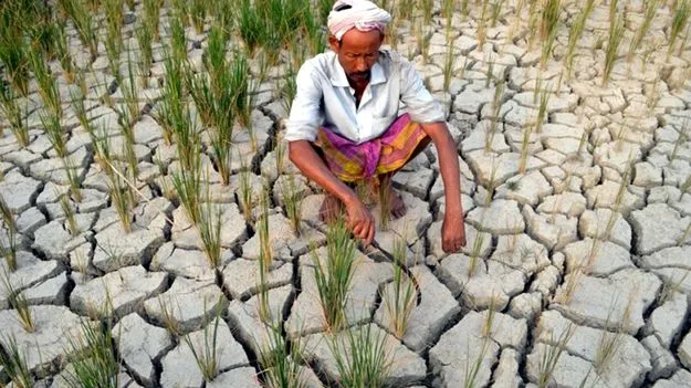 సగం మండలాల్లో వర్షాభావం