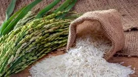 ధాన్యానికి రికార్డు ధర