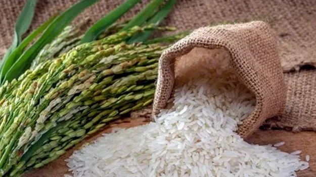 ధాన్యానికి రికార్డు ధర