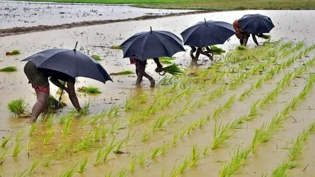 రుతుపవనాలపై ఎల్‌నినో పిడుగు