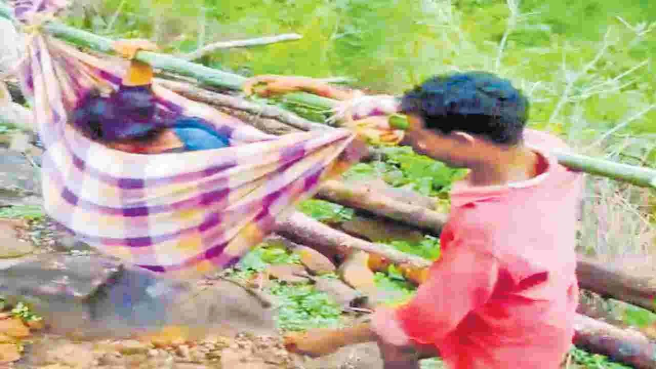 కొండకోనలు దాటొచ్చినా దక్కని ప్రాణం