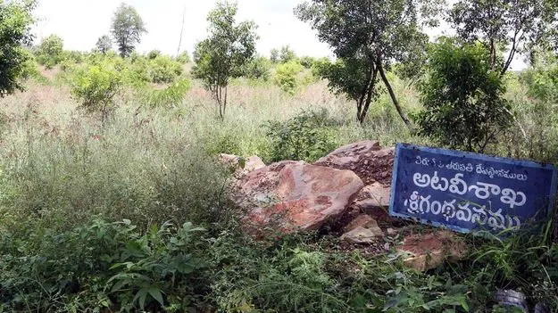 తిరుగిరుల్లో 89.4శాతం పచ్చదనం! 
