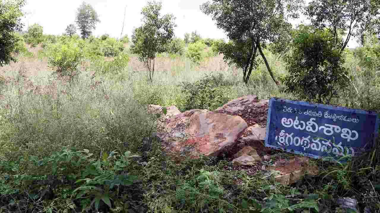 తిరుగిరుల్లో 89.4శాతం పచ్చదనం! 