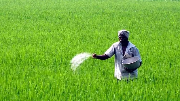 యూరియా కొరత లేకుండా చర్యలు 