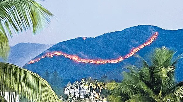 బొగ్గు కోసం నిప్పు 