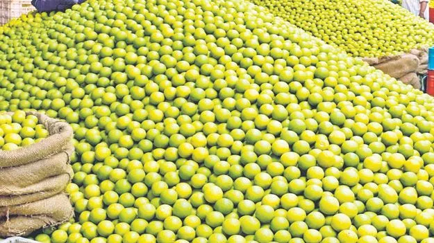 యాపిల్‌ను దాటేసిన నిమ్మ ధర