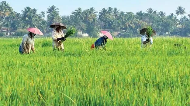 వ్యవసాయ సహాయ సంచాలకులకు పదోన్నతి