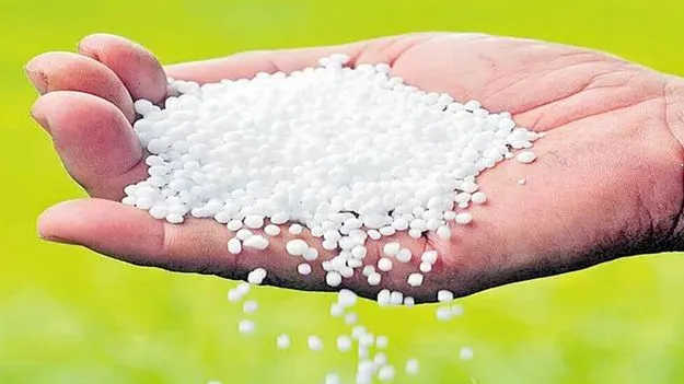 రబీలో తగ్గిన యూరియా వినియోగం
