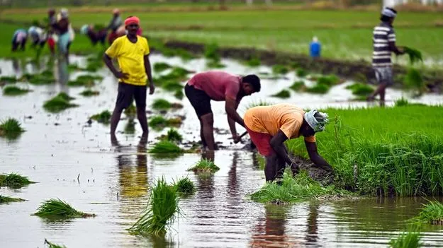 30 శాతానికి ఖరీఫ్‌ సాగు