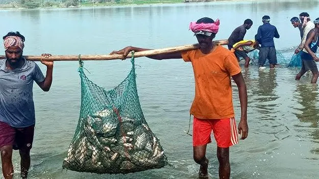 చేపల వేటపై శిక్షణకు దరఖాస్తులు 