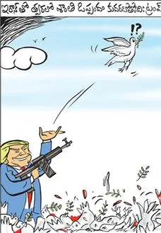Daily Cartoon
